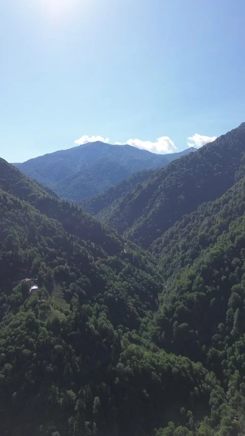 Drone Flies Over Deep Mountain Gorge, Forest Valley, Georgia, 4K 스톡 동영상 337542539