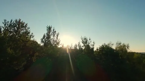 A drone flies over a dense forest with the sun rising in the background Vidéo 283947054