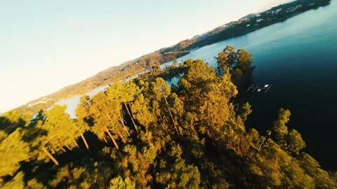 Drone flies over dense greenery beside tranquil blue lake waters Video stock 342268873