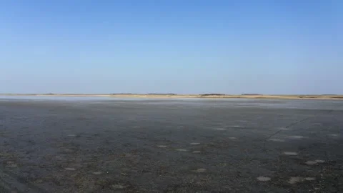 Drone flies over dried up wet land and gold grass in sunny summer day Stock Footage 270501873