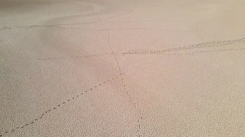 Drone flies over dry-type playa among the desert Stock Footage 237802766