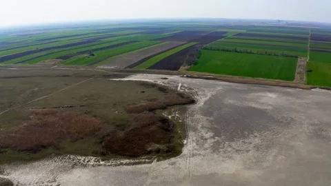 Drone flies over end of dried up lake in summer in nature reserve Slano Kopovo Stock Footage 270501905