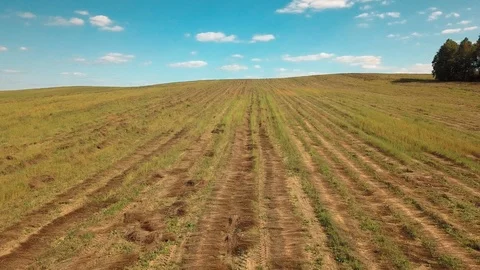 Drone flies over the field Stock Footage 94109392