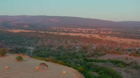 A drone flies over a field with slanted bales of hay Stock Footage 200936832