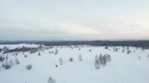Drone flies over the field in winter Stock Footage 169383028