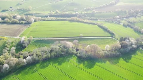 Drone flies over floodplain forest, trees and hedge strips in spring, aerial Video stock 240111367
