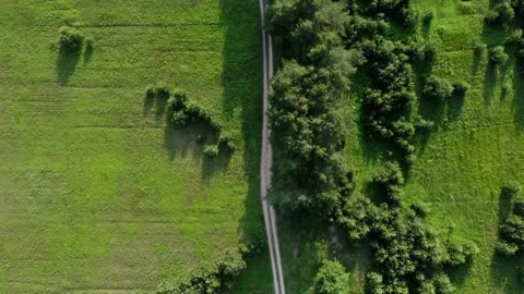 The drone flies over a forest and a dirt road Stock Footage 155885020