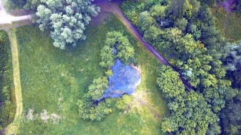 DRONE FLIES OVER FOREST ARIAL VIEW Stock Footage 112148327