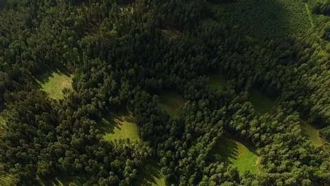 The drone flies over the forest. Video stock 111413737