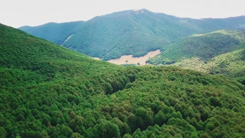 Drone flies over the forest in the mountains Stock Footage 145623034