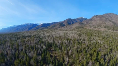 Drone flies over a forest road in a mountainous area Stock Footage 126620484
