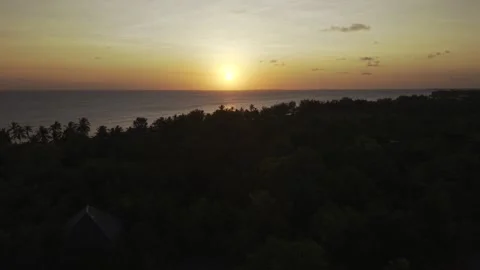 Drone flies over forest toward sunset over the sea in Zanzibar Stock-Footage 346159065