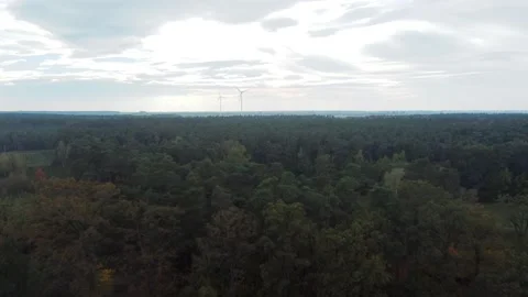 The drone flies over the forest to wind towers Video stock 223511648