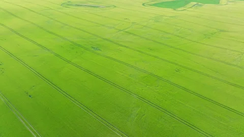 Drone flies over a green field in germany, 4k 60fps Stock Footage 197182004