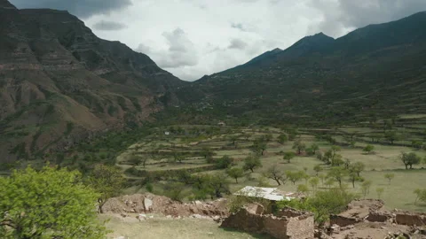 Drone flies over green fields, mountain terrain Stock Footage 165565966