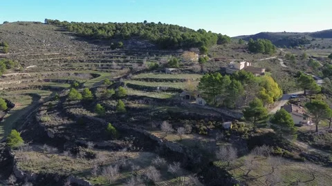 A drone flies over green fields in mountainous terrain in summer Stock Footage 311872902