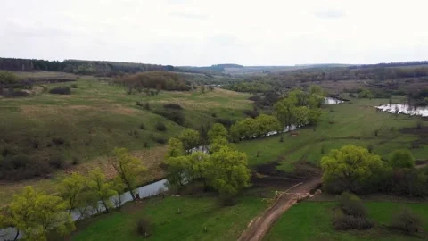 Drone flies over green forest, field, river and pasture in national natural park Stock Footage 169837917