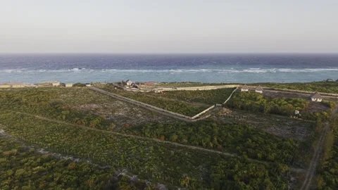 Drone flies over green forest toward the Indian Ocean at sunset in Zanzibar Stock Footage 344167246