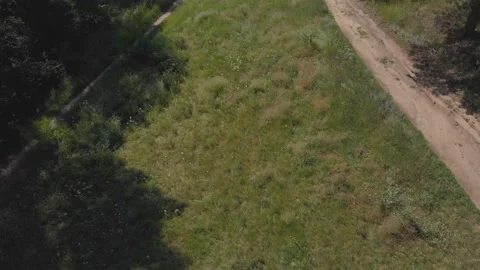 Drone flies over green grass 4K Stock-Footage 202135291