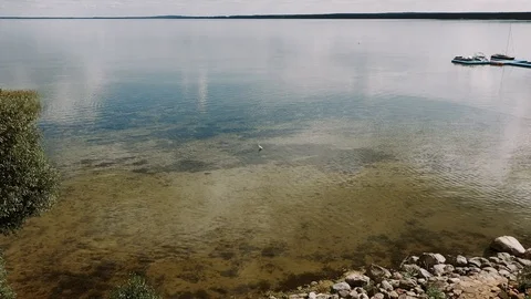 Drone flies over the heron Stock Footage 120458479