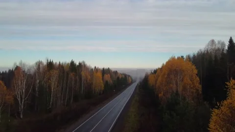 The drone flies over the highway in the autumn forest Stock Footage 224854286