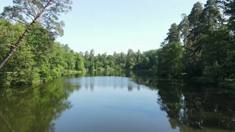 Drone flies over the lake surrounded by dense forest. Stock Footage 235395437