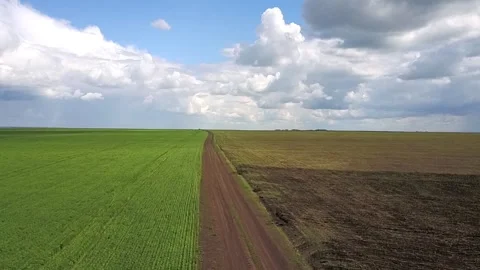 Drone flies over a large green field next to the road. Stock Footage 147188877