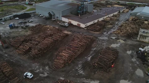 Drone flies over a large sawmill with many logs. 4k drone footage Stock Footage 195738538