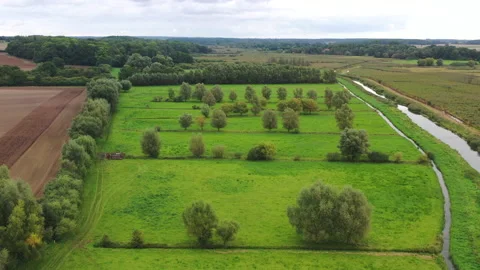 A drone flies over the meadows and fields in Mecklenburg in Germany Video stock 169207805