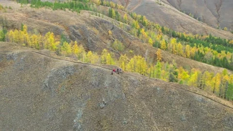 Drone flies over mountain range in golden autumn Stock Footage 220089740