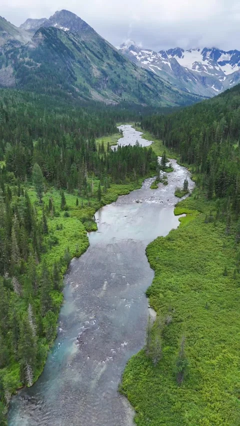 A drone flies over the mountainous, winding Multa River in the forest of Altai Stock Footage 324056195