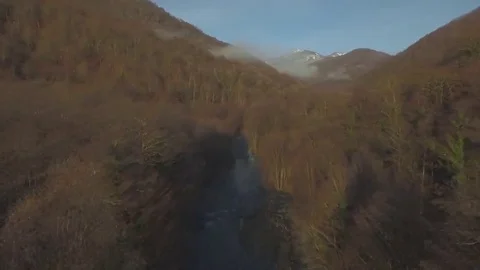 Drone Flies Over Mountains in Sochi at the Bottom of the Yellow Trees and the Stock Footage 69168580