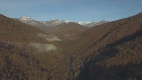 Drone Flies Over Mountains in Sochi at the Bottom of the Yellow Trees and the Vídeos de archivo 69170221