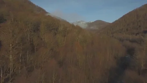 Drone Flies Over Mountains in Sochi at the Bottom of the Yellow Trees and the Stock Footage 69171333