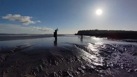 Drone flies over mudflats 1 Stock Footage 321485333