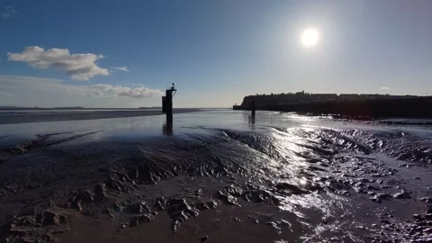 Drone flies over mudflats 2 Stock Footage 321485388