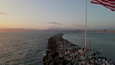 The drone flies over the ocean amidst birds, Video stock 270340221
