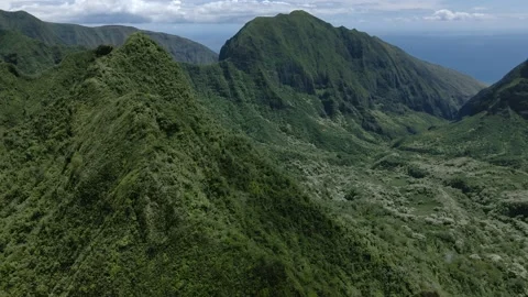 Drone flies over overgrown mountain range on Maui, aerial footage, Hawaii, USA Video stock 178219783
