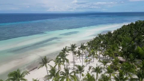 Drone flies over palm trees on beaches of Philippines. Cinematic drone footage Stock Footage 232075878