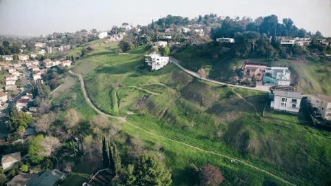 Drone Flies over park in Los Angeles Stock Footage 196470675