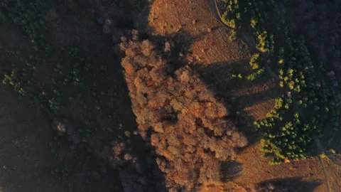 Drone flies over the peak of Mount Demerdzhi in the sunset. Autumn landscape Video stock 168282794