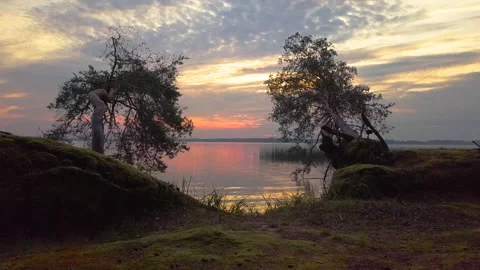 The drone flies over a pine forest, the forest is reflected in the water Stock Footage 138904515