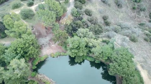 Drone flies over pond Vídeo Stock 196469701