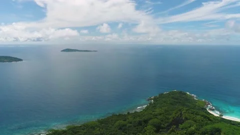 The drone flies over the Rainforest Stock Footage 155407294