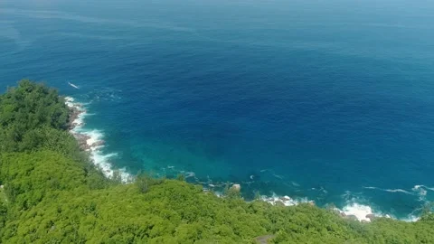 A drone flies over a rainforest on the Seychelles island of La Digue Stock Footage 155401958