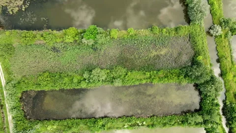 Drone flies over rectangular fish ponds surrounded with green vegetation 스톡 동영상 263304396