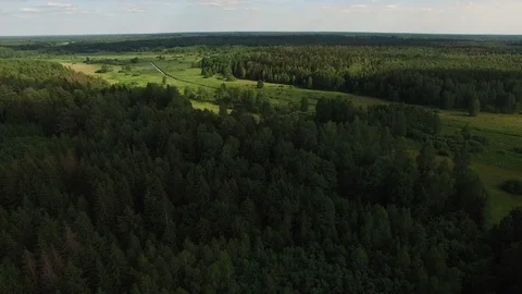 The drone flies over the river and meadow. Stock Footage 111345085