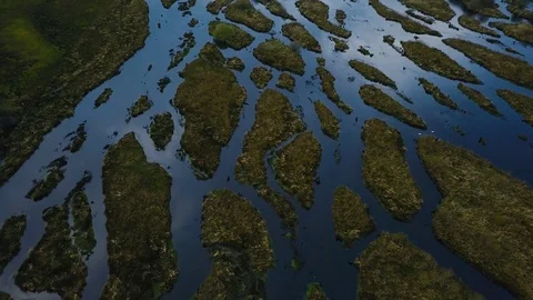 A drone flies over the river backwaters. Stock Footage 114187742