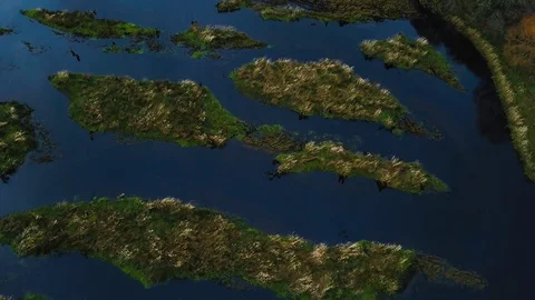 A drone flies over the river backwaters. Stock Footage 114188565