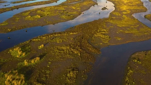 The drone flies over the river backwaters. Stock-Footage 114382266